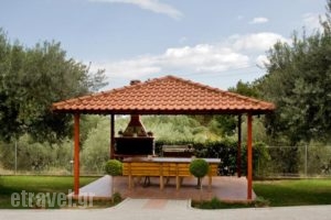 Agrelia_holidays_in_Hotel_Macedonia_Halkidiki_Kassandreia