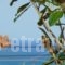 Two Brothers Tsilivi Zakynthos_best deals_Hotel_Ionian Islands_Zakinthos_Zakinthos Rest Areas