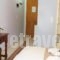 Apartments Filoxenia Zois_best deals_Apartment_Ionian Islands_Lefkada_Lefkada Chora