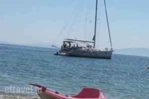 Aegean Panorama_best prices_in_Hotel_Cyclades Islands_Tinos_Tinosst Areas