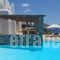 Alisahnea_accommodation_in_Hotel_Cyclades Islands_Mykonos_Mykonos Chora