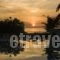 Alma Hotel_best deals_Hotel_Aegean Islands_Lesvos_Petra