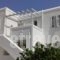 Chrysallis Studios_holidays_in_Hotel_Cyclades Islands_Paros_Paros Chora