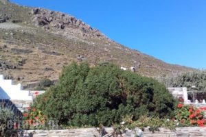 Balcony To The Aegean_best deals_Hotel_Cyclades Islands_Tinos_Tinosst Areas