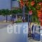 Marioly Studios_best prices_in_Hotel_Cyclades Islands_Paros_Paros Chora