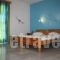 Ambelaki Studios_accommodation_in_Apartment_Cyclades Islands_Naxos_Naxos Chora