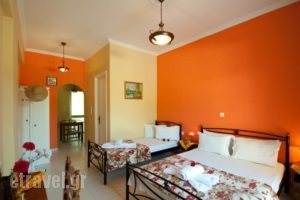 Kandilas Studios_holidays_in_Hotel_Ionian Islands_Zakinthos_Zakinthos Rest Areas