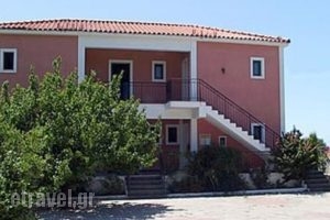 Gerasimoula Studios_best prices_in_Hotel_Ionian Islands_Kefalonia_Vlachata