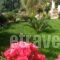 Roza Studios_best deals_Hotel_Ionian Islands_Corfu_Corfu Rest Areas