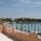 Thania Studios_best deals_Hotel_Crete_Heraklion_Aghia Pelagia