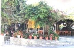 Taverna O Aetos hollidays