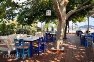 Faros Fish Tavern_food_in_Restaurant___Skala