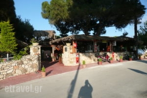 Nikos Taverna_food_in_Restaurant___Vasilikos